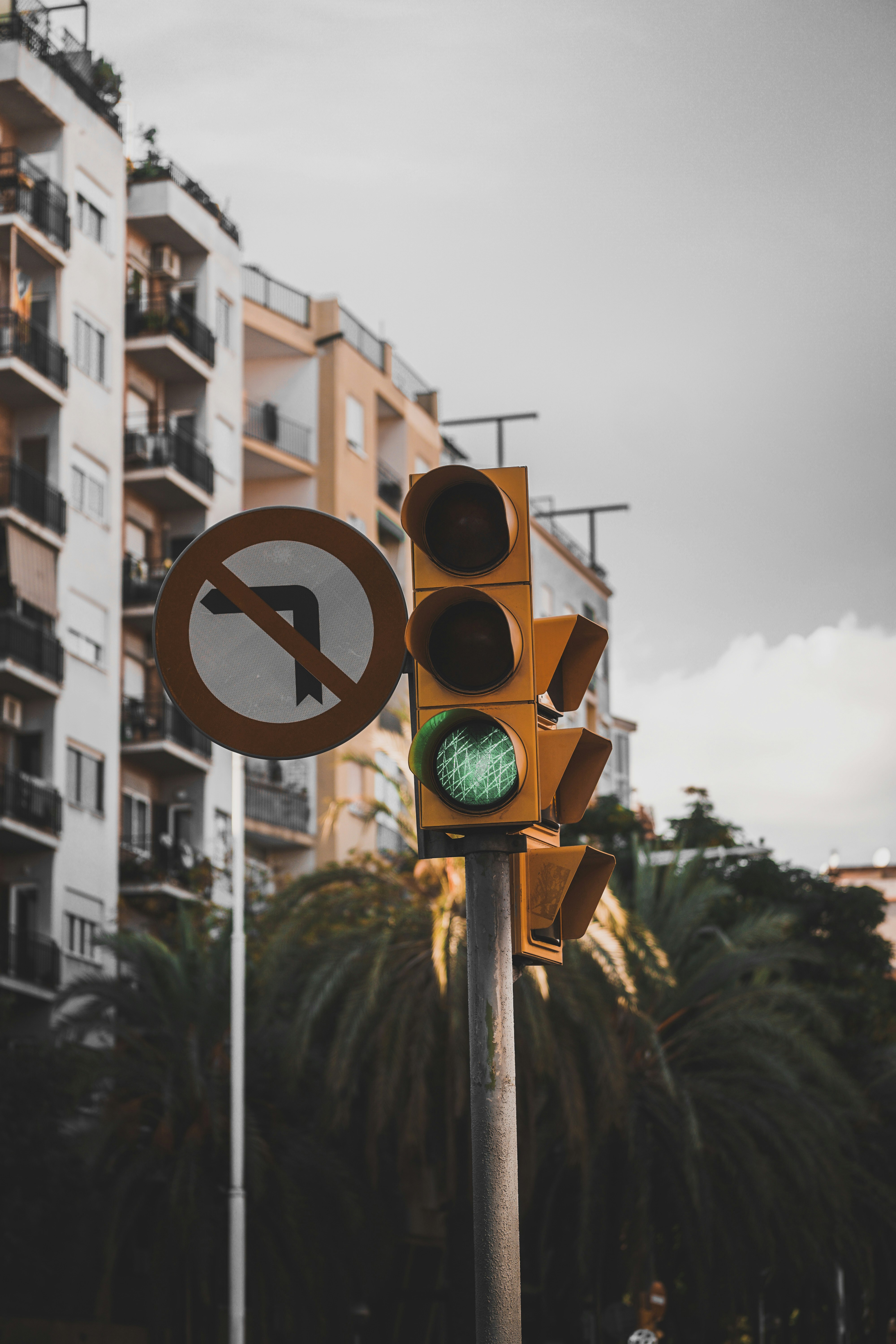 traffic lights in green sign in the middle of the street